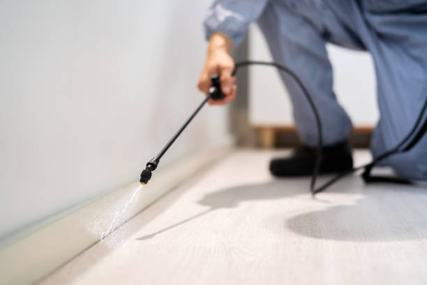 Licensed Pest Control service in Enderlin, ND - Show Me Pest Control