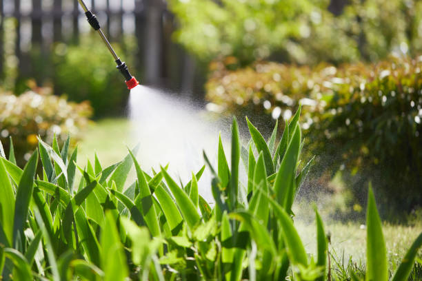 24/7 Emergency Ant Control experts in Enderlin, ND